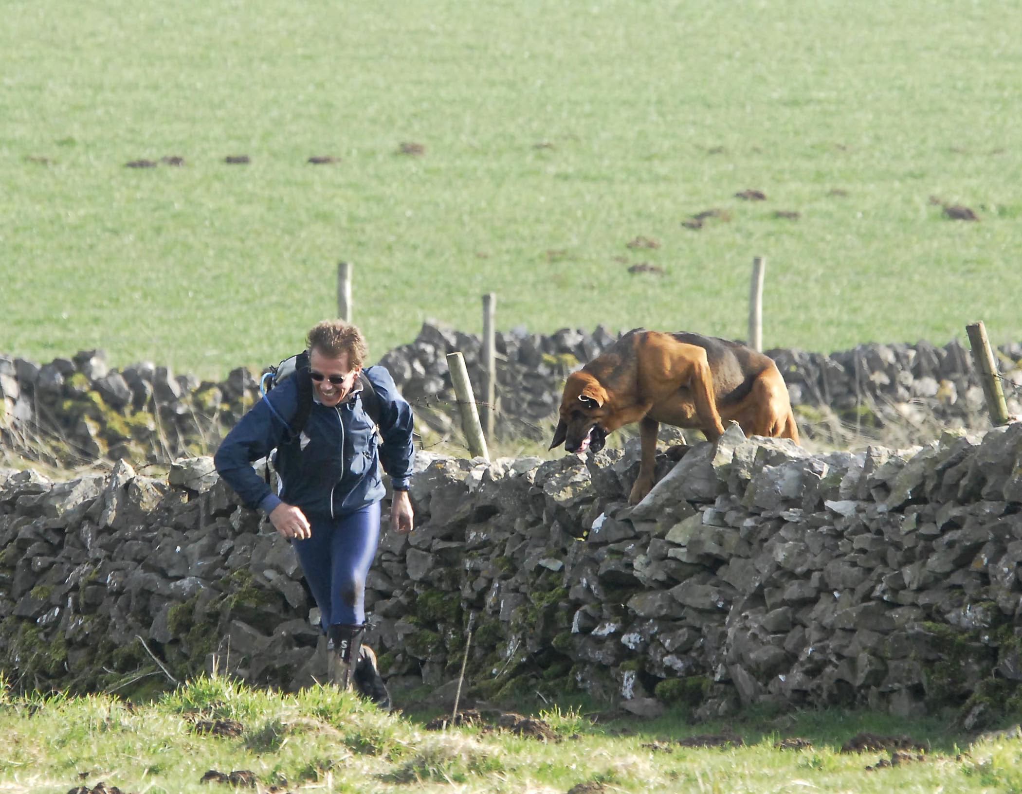 Hound Wall