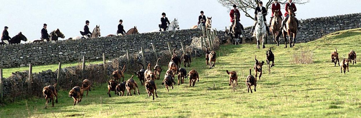 Hounds casting off at Manor Farm Little Longstone page 001
