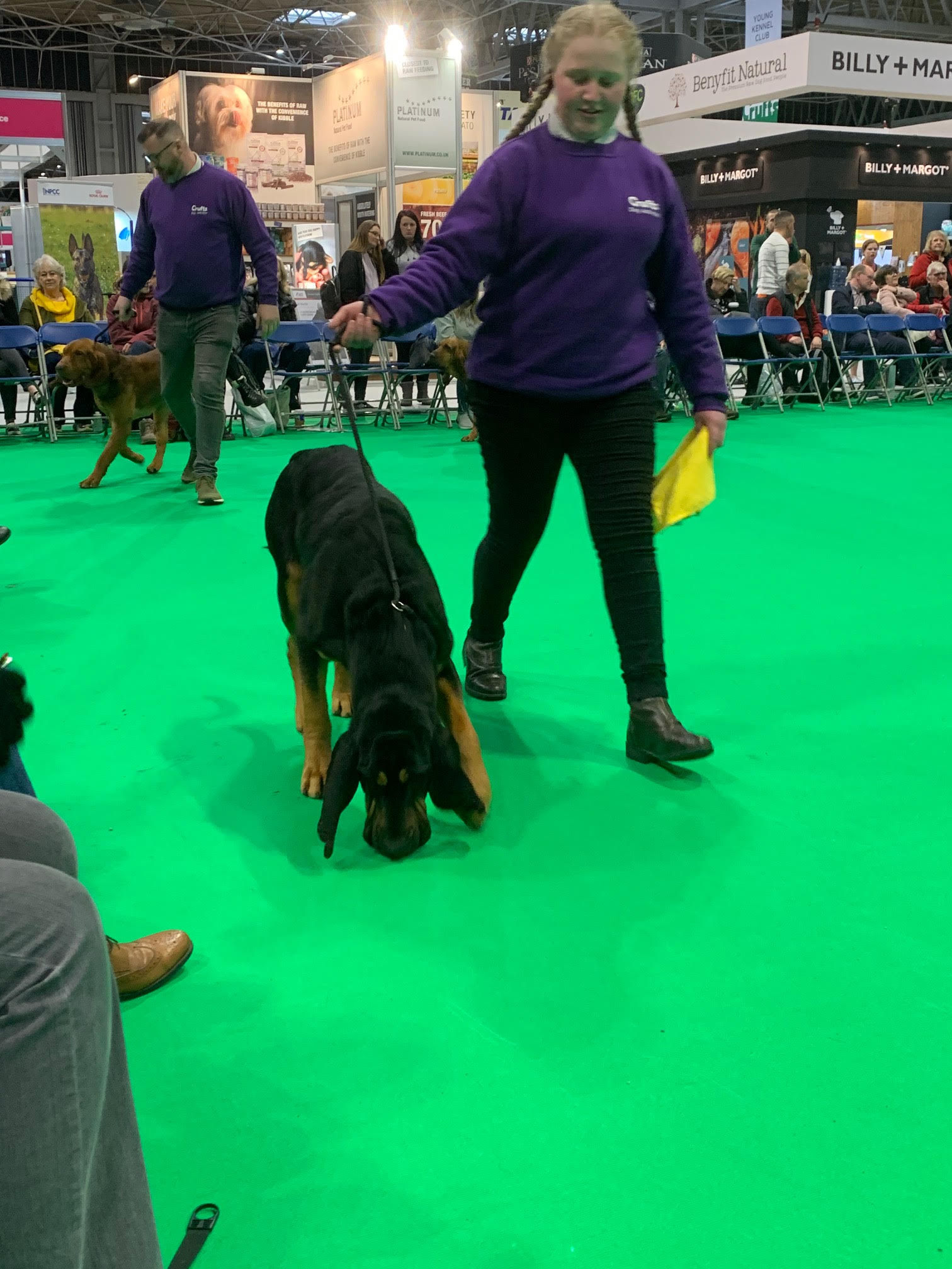 crufts2020 22