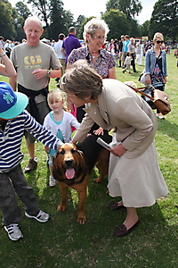 chatsworth_country_fair_-_03-09-2011_10_20110904_1105701828